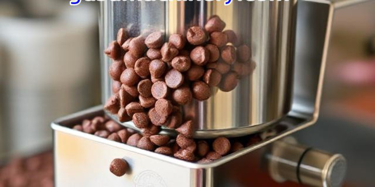 Which Capabilities Define Gusu Chocolate Chips Machine Manufacturer Equipment