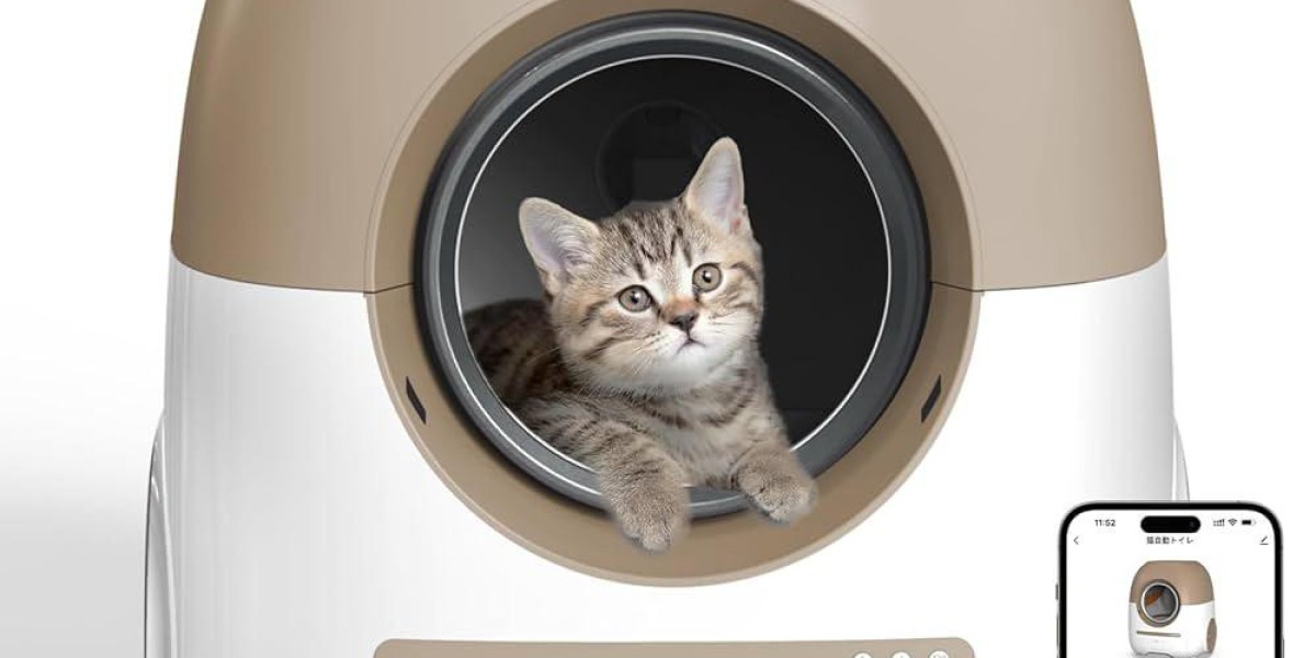Is Pawtechpet Cat Litter Box Automatic Cleaning Right for Your Indoor Cat