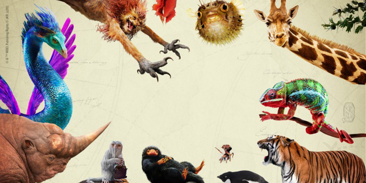 Fantastic Beasts™: The Wonder of Nature