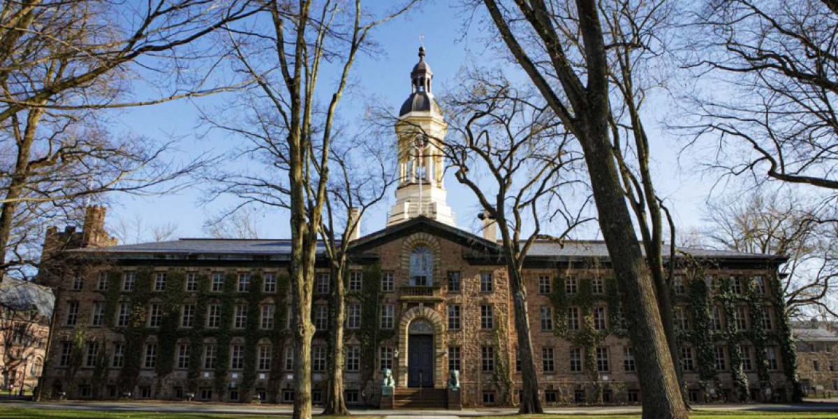 Princeton Data Breach: Phishing Attack Exposes Personal Info